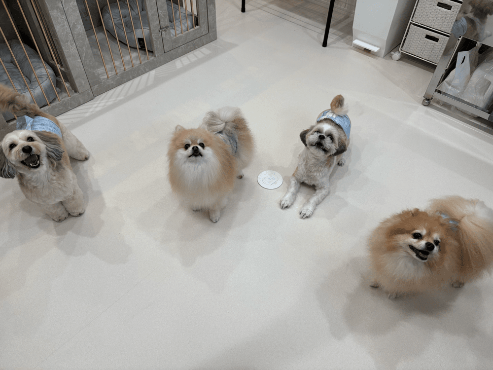 垂水