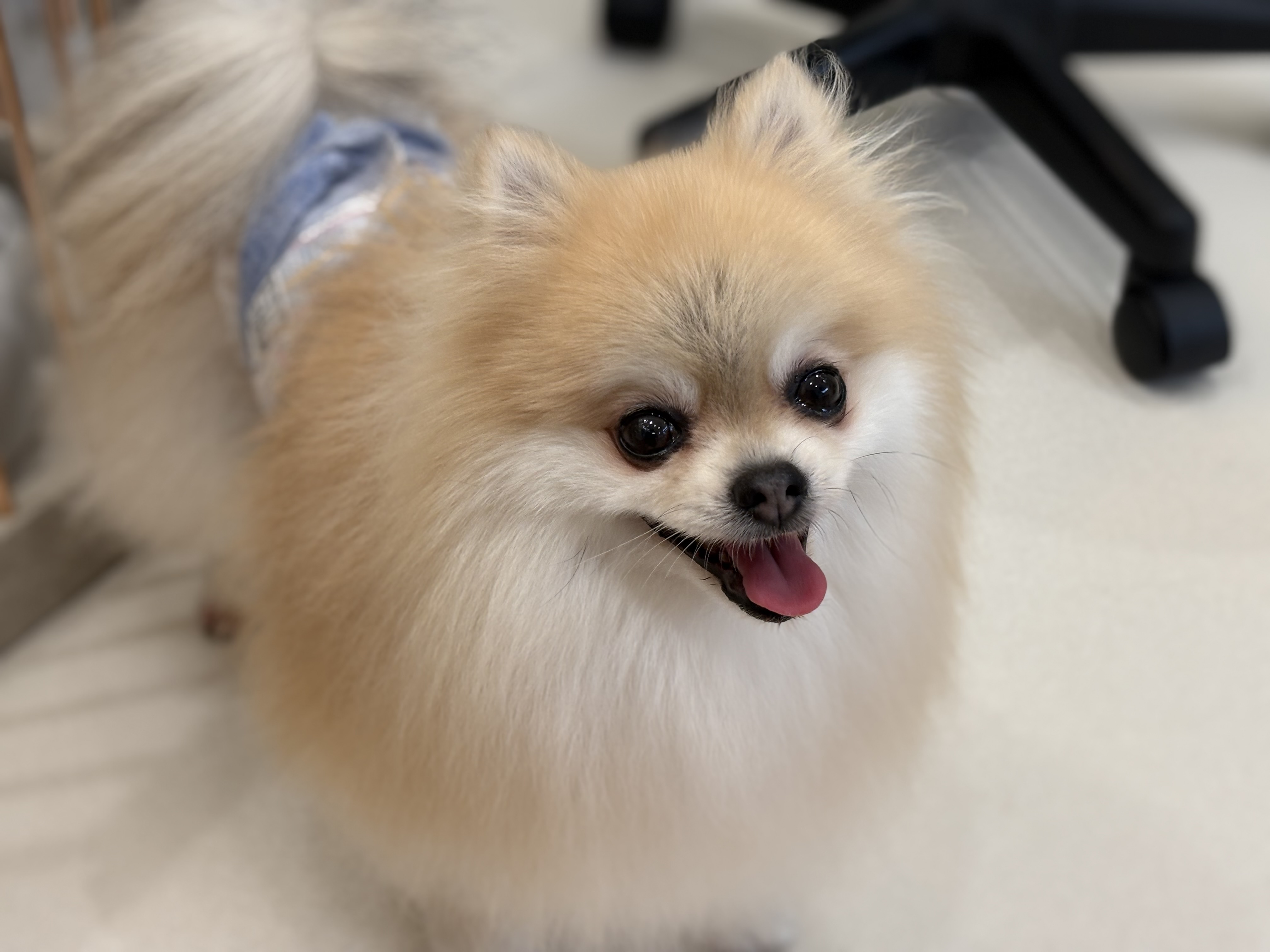 AdobeStock_267069464