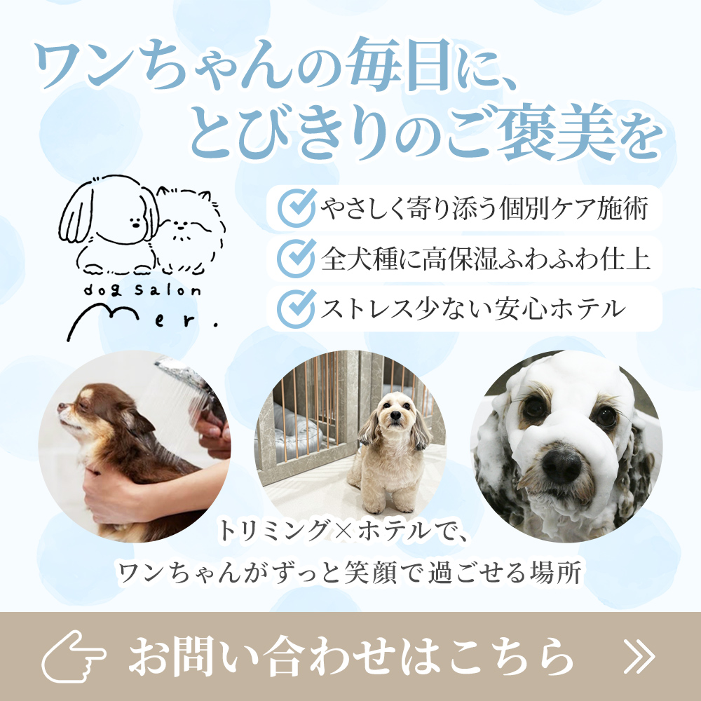 modal_banner